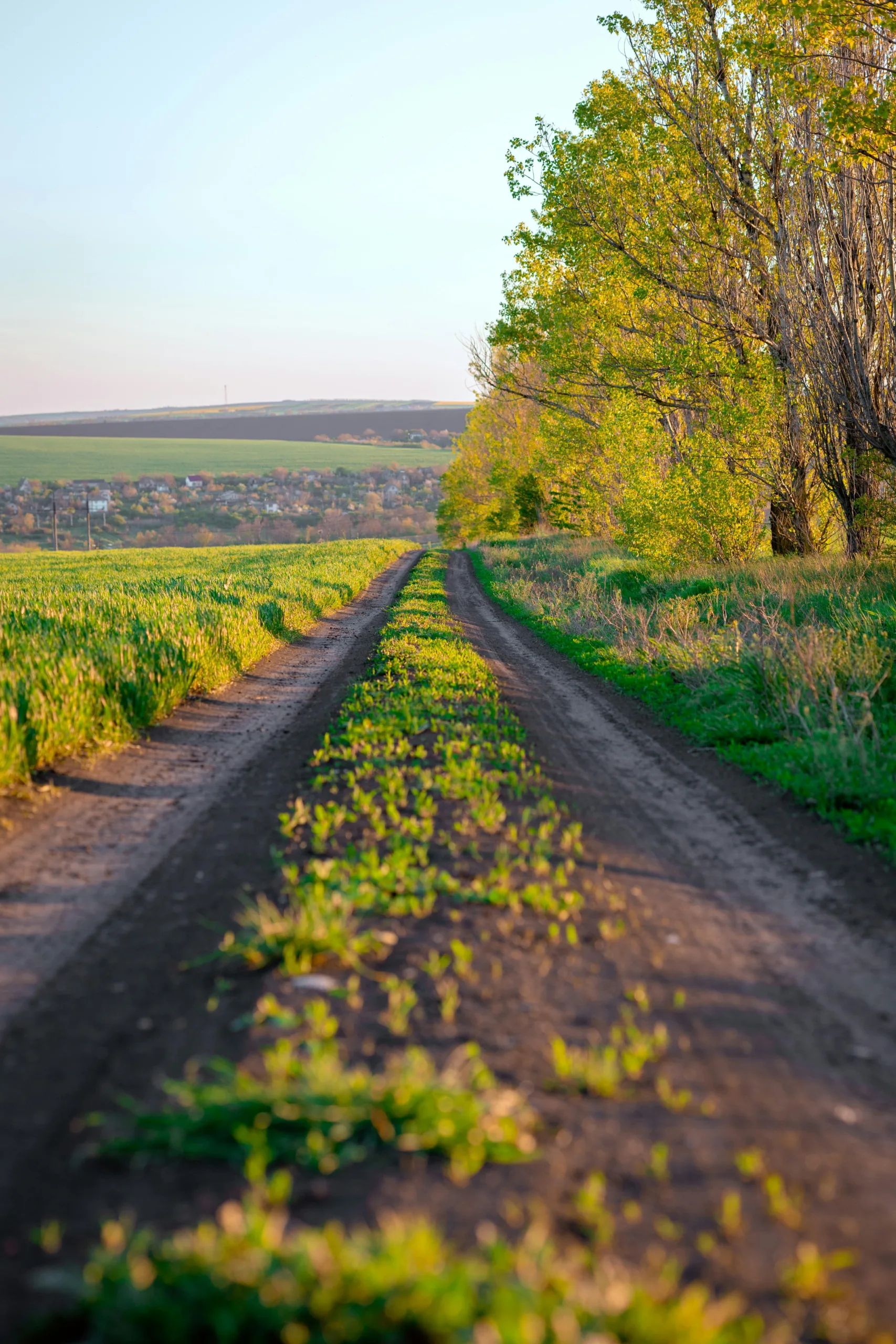Decorative image by Igor Meghega to accompany a post about our accountant, Inga's journey from Moldova to the UK to become an accountant